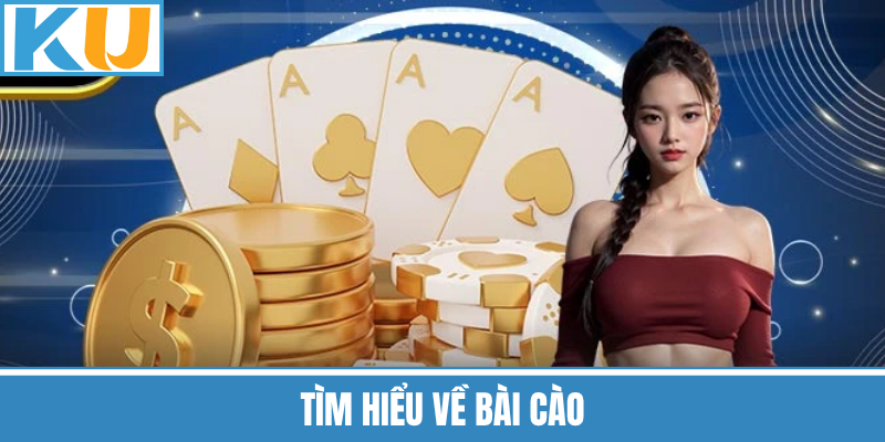 Tìm Hiểu Về Bài Cào